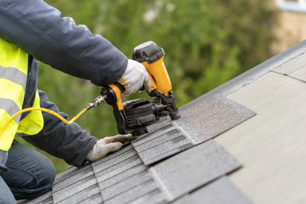 Best Roof Insulation Installation  in Oglethorpe, GA